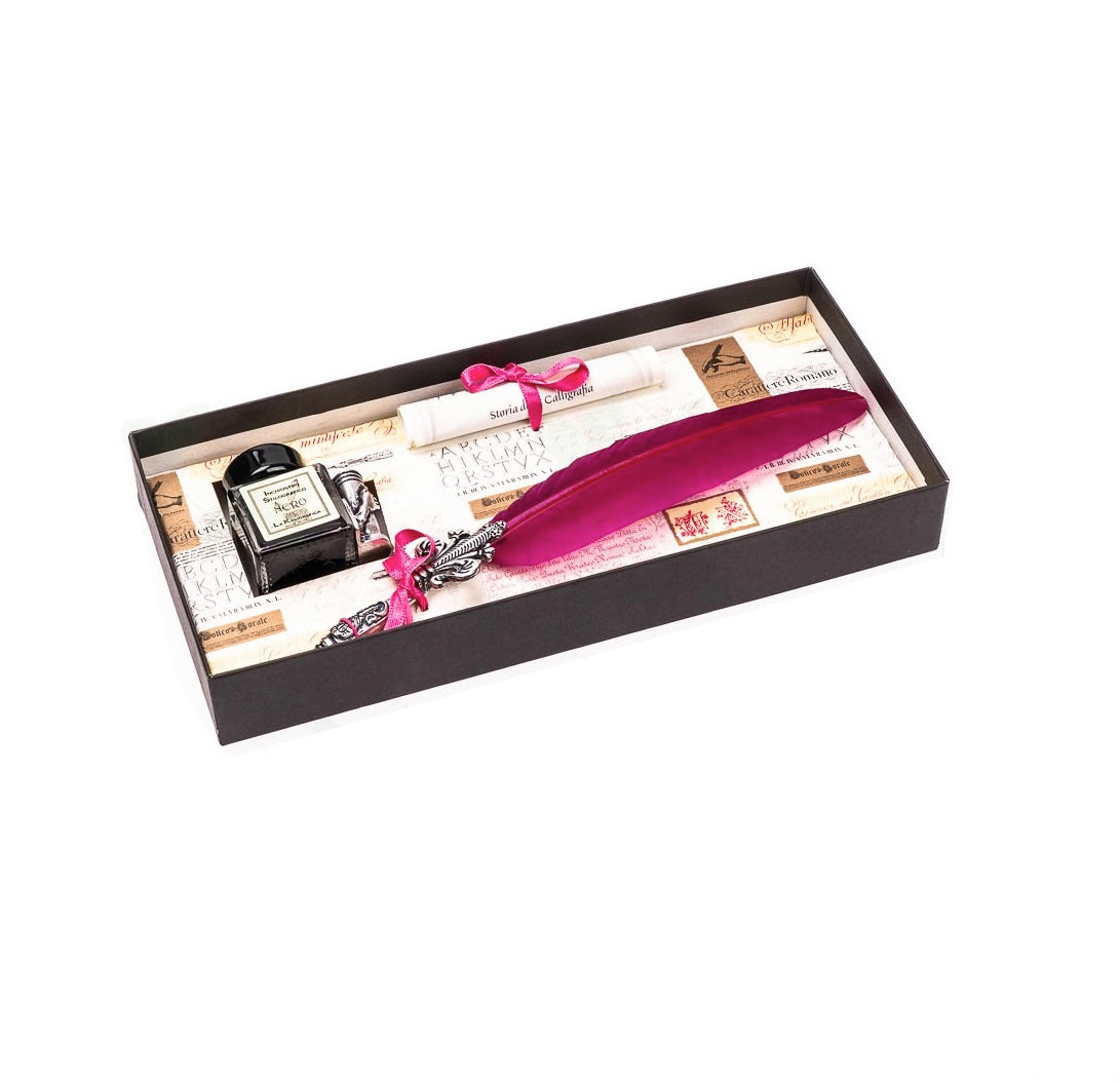 Piuma Stilografica Rosa Inchiostro e Porta Penna