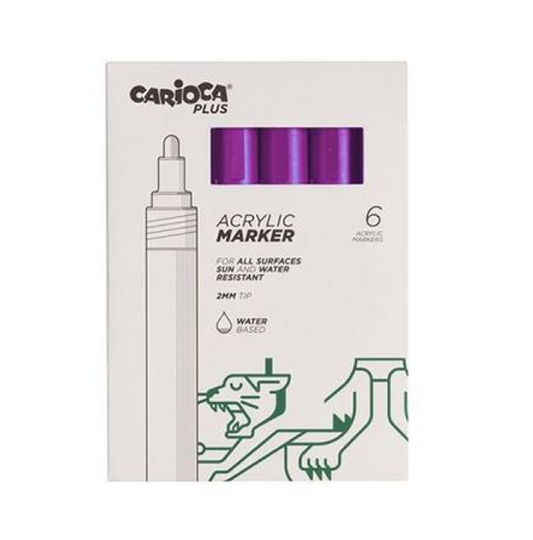 6 Marcatori Acrilici Viola – Punta 2mm Resistente Acqua e Sole