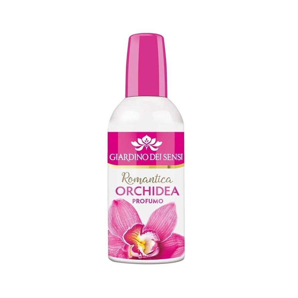 Orchidea